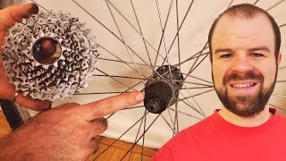 How to Remove the Cassette or Freewheel from Bike Wheels [upl. by Averir765]