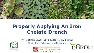 Iron Chelate Applications for Greenhouse Crops [upl. by Oscar]