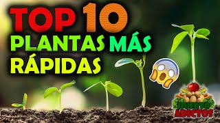 Los 10 Cultivos Que Crecen Más Rápido 🌱Huertos Urbanos  Huerto Adictos [upl. by Arimak]