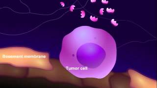 Introduction to Cancer Biology Part 3 Tissue Invasion and Metastasis [upl. by Orozco]