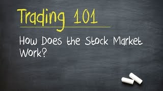 Trading 101 How Does the Stock Market Work [upl. by Godric224]