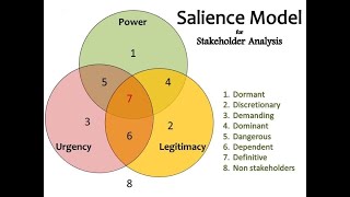 Stakeholder Salience Model [upl. by Wurster745]