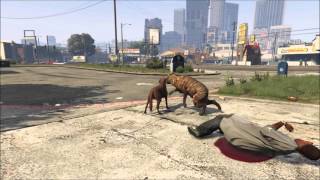 How to get animals in GTA5 Director Mode [upl. by Grazia192]