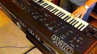 Oberheim OBXa Analog Synthesizer 1980 single sound demo [upl. by Xad]