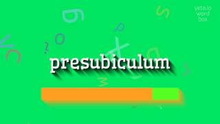 PRESUBICULUM  HOW TO PRONOUNCE PRESUBICULUM [upl. by Candida]