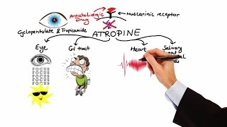 Pharmacology  ANTICHOLINERGIC amp NEUROMUSCULAR BLOCKING AGENTS MADE EASY [upl. by Happy]