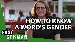 How to know a words gender  Super Easy German 70 [upl. by Nwahsyd]