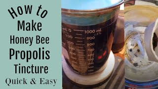 How to Make a Bee Propolis Tincture Quick and Easy [upl. by Ijic]