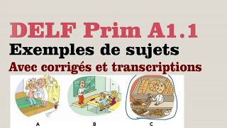 DELF Prim A11  Exemples de sujets  vidéo 04 [upl. by Jessey]