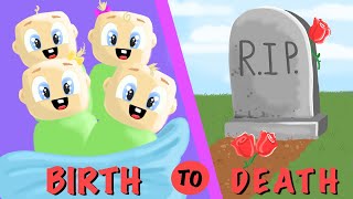 BIRTH to DEATH of Quadruplets  Roblox Brookhaven RP [upl. by Stempson]