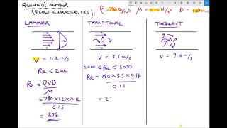 Using Reynolds Number to Determine Flow Characteristics [upl. by Seraphina432]