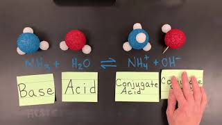 BrønstedLowry Conjugate AcidBase Pairs [upl. by Atiuqes]