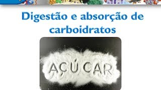 Curso de Bioquímica Video aula digestao e absorcao de carboidratos [upl. by Haberman925]