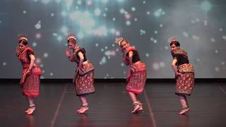 Sambalpuri Indian folk dance by Russian girls in Macedonia [upl. by Ahsimrac]