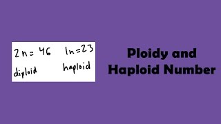 Ploidy and Haploid Number [upl. by Anippesuig]