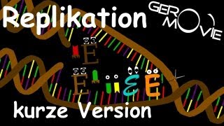 DNAReplikation Biologie GeroMovie kurze Version [upl. by Irrot739]