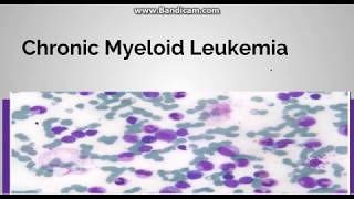 Chronic myeloid leukemia Pathogenesis Staging and periheral blood findings [upl. by Andromache]