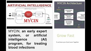 Mycin Expert System [upl. by Mezoff179]