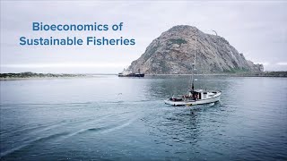 Bioeconomics of Sustainable Fisheries [upl. by Pulling]