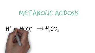 Bicarbonate  The Primary Buffer [upl. by Cibis]