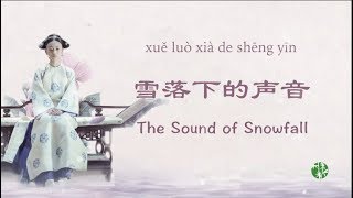 The voice you wont believe it CNENGPinyin quotThe Sound of Snowfallquot by Zhou Shen  周深翻唱《雪落下的声音》 [upl. by Eladnwahs61]