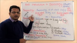 Pharmacodynamics  Principles of Drug Action  L1 Unit2  Pharmacology 4th Semester [upl. by Morra235]