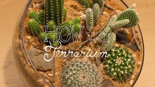 Make a Cactus Terrarium  How To Terrarium ep 4 [upl. by Liris]