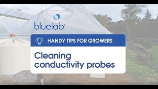 Bluelab Cleaning conductivity probes [upl. by Acirederf]