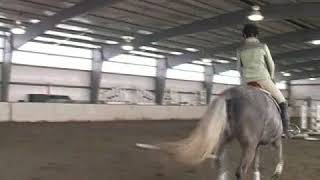 How to Gallop a Horse [upl. by Heimlich]