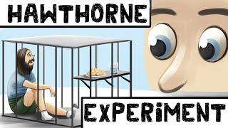 The Hawthorne Effect Definition  Examples [upl. by Photina]