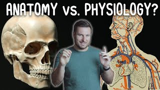 Whats the Difference Between Anatomy and Physiology  Corporis [upl. by Marinelli]