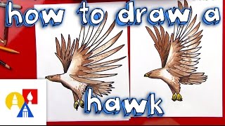 How To Draw A Realistic Hawk [upl. by Sydel]