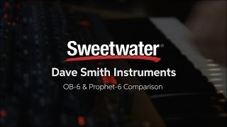 OB6 and Prophet6 Synthesizer Comparison — Daniel Fisher [upl. by Adnorrehs]