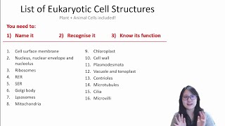 Chapter 13b  Cell Structure and Function Structure 1016  Cambridge ALevel 9700 Biology [upl. by Colbert231]