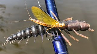 Slammin Smallies During The Mayfly Hatch [upl. by Hance226]