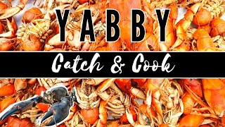 Yabby Catch N Cook  How to Catch Cook and Pickle Yabbies [upl. by Tansey]