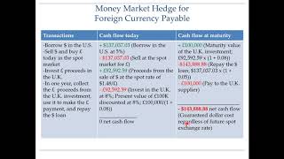 Hedging foreign currency payable  Money market hedge Part 3 of 5 [upl. by Rosalee]