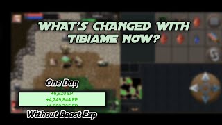 TibiaME Daily Quest 7 Island [upl. by Ennoved]