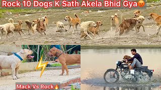 Rock Ko Mack Se Milvane Le Gye🔥Rock 10 Dogs K Sath Akela Bhid Gya😰Panga Hogya Yamuna Nadhi Par🐶 [upl. by Niatsirk]