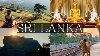 7 Days in Sri Lanka Vlog  Sigiriya Kandy Dambulla Galle Unawatuna Colombo [upl. by Aivun389]