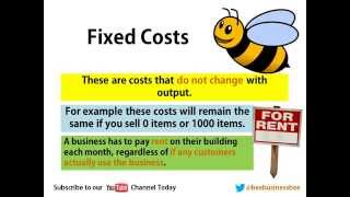 Bee Business Bee Business Costs Presentation [upl. by Landmeier]