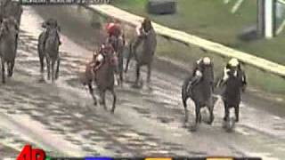 Raw Video Names Make for Hilarious Horse Race [upl. by Erb318]