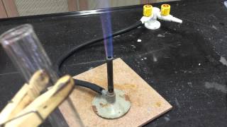 Cation Test Ammonium Ions [upl. by Letnuhs670]