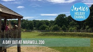 Marwell Zoo Hampshire  England [upl. by Mendie]