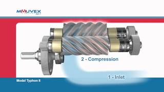 Screw Compressor Principle Mouvex Overview [upl. by Tine]