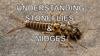 Understanding Stoneflies amp Midges with Tom Rosenbauer [upl. by Eelirak]