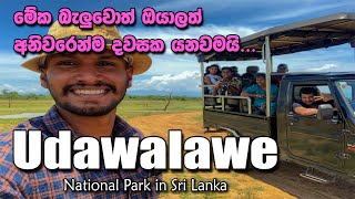 Udawalawe National Park Safari  Elephant Transit Home  Sri Lanka  Tarvel Vlog [upl. by Airdnas]