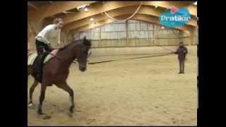 Equestrian Vaulting  What is Equestrian vaulting [upl. by Norehs]