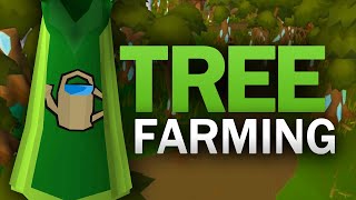 Complete Tree Farming Guide for OSRS [upl. by Rani]