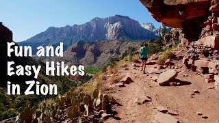 Some of The Best EASY Hikes in Zion  The Watchman amp Canyon Overlook Trails  Zion National Park [upl. by Aisitel720]